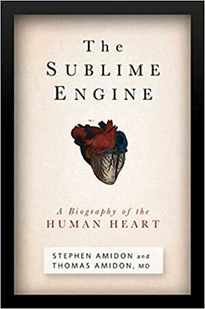 The Sublime Engine: A Biography of the Human Heart by Stephen Amidon