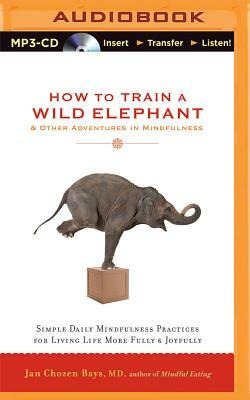 How to Train a Wild Elephant & Other Adventures in Mindfulness: Simple Daily Mindfulness Practices for Living Life More Fully & Joyfully by Jan Chozen Bays
