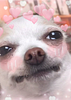 stonebitchblues's profile picture