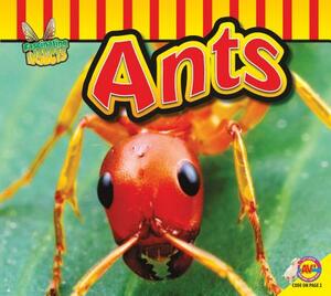 Ants by Aaron Carr