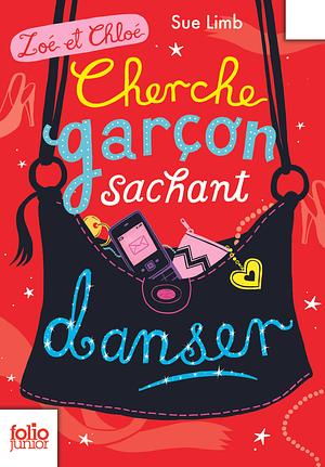 Cherche Garcon Sachant Dan by Sue Limb