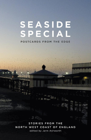 Seaside Special: Postcards from the Edge by Anita Sethi, Carys Bray, Louise Ayre, Melissa Wan, Andrew Michael Hurley, Jenn Ashworth, Paul Kingsnorth, Pete Kalu, Lucy Wilkinson Yates, Kirsty Logan, Bethan Ellis