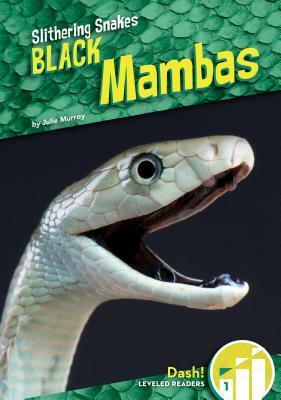 Black Mambas by Julie Murray
