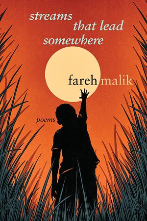 Streams that Lead Somewhere by Fareh Malik