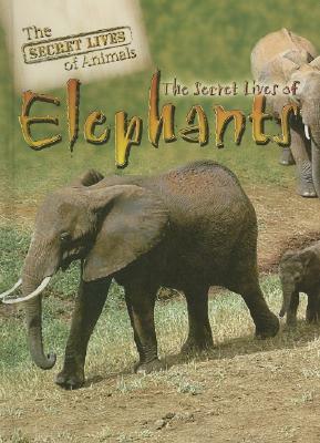 The Secret Lives of Elephants by Julia Barnes