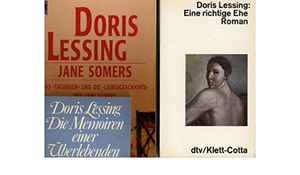 Jane Somers: das "Tagebuch" und die "Liebesgeschichte" der Jane Somers : zwei Romane in einem Band by Doris Lessing