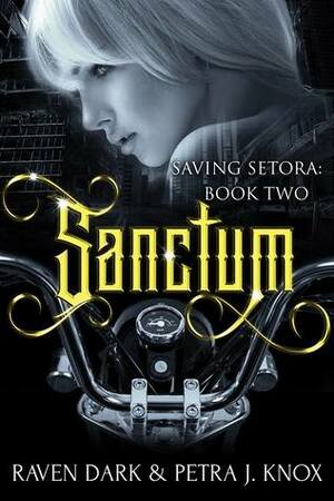 Sanctum by Raven Dark, Petra J. Knox