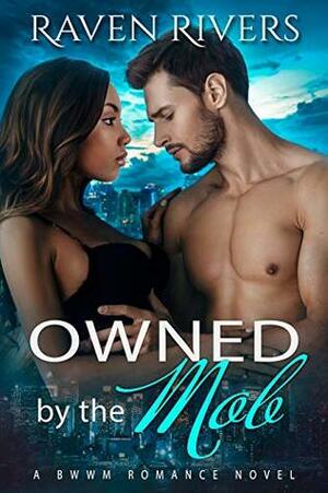 Owned by the Mob ( Russian Mobster #3) by Raven Rivers