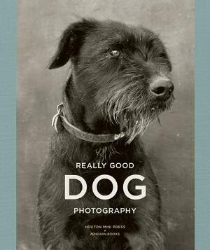 Really Good Dog Photography by Penguin Books, Lucy Davies, Hoxton Mini Press