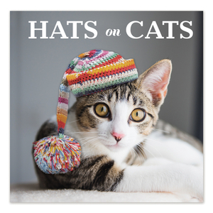 Hats on Cats by New Seasons, Publications International Ltd