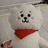 mintycel's profile picture