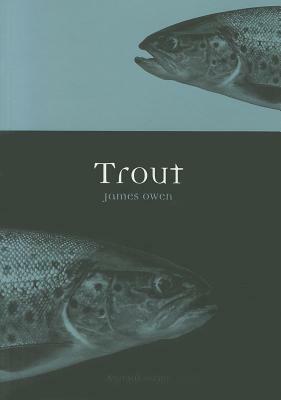 Trout by James Owen