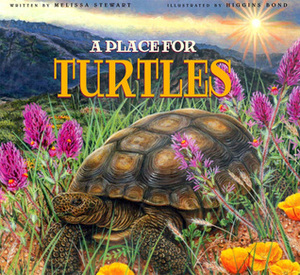 A Place for Turtles by Melissa Stewart, Higgins Bond