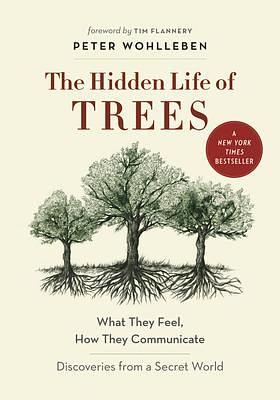 The Hidden Life of Trees: What They Feel, How They Communicate―Discoveries from A Secret World by Tim Flannery, Peter Wohlleben, Peter Wohlleben