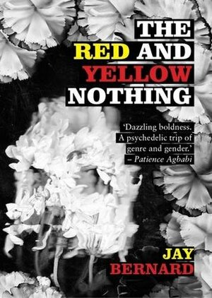 The Red and Yellow Nothing by Jay Bernard