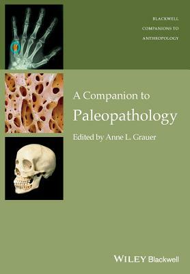 Companion to Paleopathology Ni by 