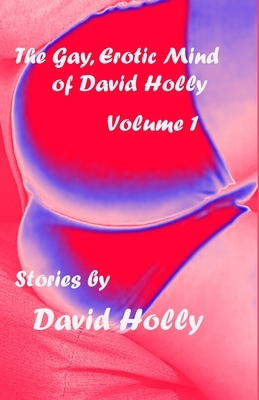 The Gay, Erotic Mind of David Holly, Volume 1 by David Holly