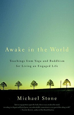 Awake in the World: Teachings from Yoga & Buddhism for Living an Engaged Life by Michael Stone