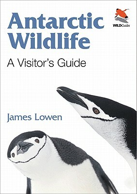 Antarctic Wildlife: A Visitor's Guide by James Lowen