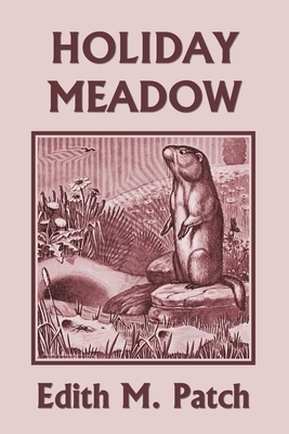 Holiday Meadow (Yesterday's Classics) by Edith M. Patch