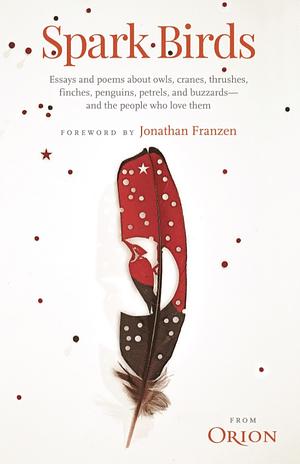 Spark Birds by Jonathan Franzen