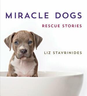 Miracle Dogs: Rescue Stories by Liz Stavrinides