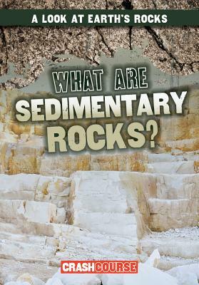 What Are Sedimentary Rocks? by Frances Nagle