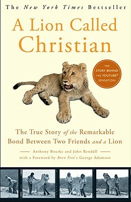 A Lion Called Christian by Anthony Bourke, John Rendall