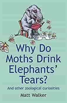 Why Do Moths Drink Elephants' Tears? by Matt Walker