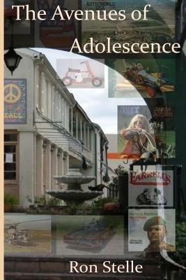 The Avenues of Adolescence by Ron Stelle