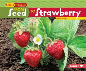 From Seed to Strawberry by Mari Schuh