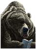 bearwhocanreadbecauseofmagic's profile picture