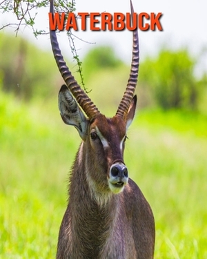 Waterbuck: Learn About Waterbuck and Enjoy Colorful Pictures by Matilda Leo