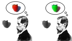 Quining Qualia by Daniel C. Dennett
