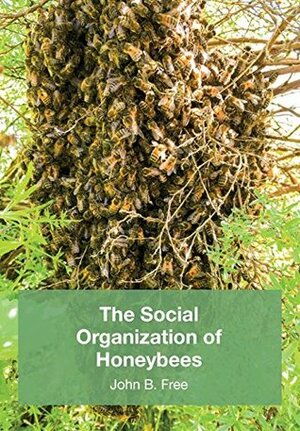 The Social Organisation of Honeybees (The Institute of Biology's Studies in Biology) by John B. Free