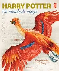 Harry Potter : Un monde de magie by British Library