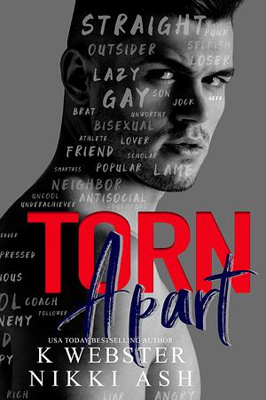 Torn Apart: a New Adult Why Choose Romance by Nikki Ash, K Webster