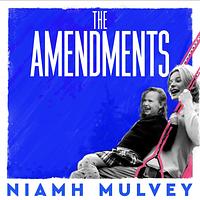 The Amendments by Niamh Mulvey