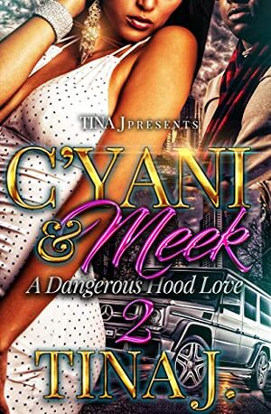 C'Yani & Meek 2:: A Dangerous Hood Love by Tina J