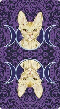 Tarot of Pagan Cats Mini Deck by Magdelina Messina