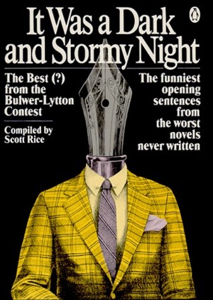 It Was a Dark and Stormy Night by Scott Rice
