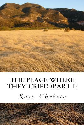 The Place Where They Cried (Part I) by Rose Christo