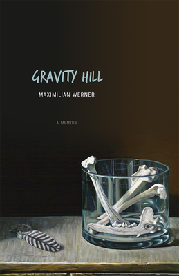 Gravity Hill by Maximilian Werner