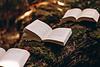aprilreads_andwanders's profile picture
