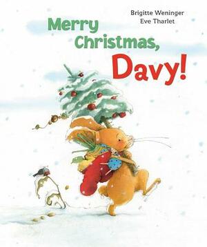 Merry Christmas, Davy! by Brigitte Weninger