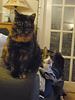 bibby_and_mabel's profile picture
