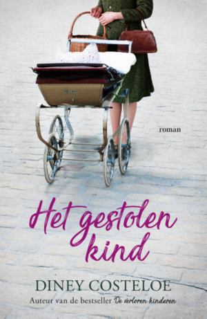 Het gestolen kind by Diney Costeloe