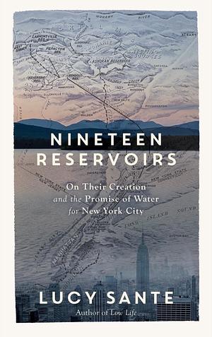 Nineteen Reservoirs by Lucy Sante