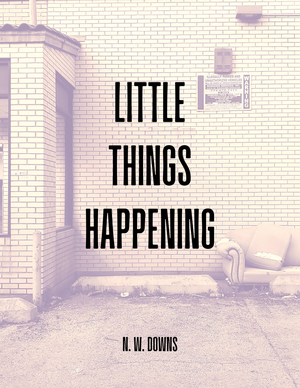 LITTLE THINGS HAPPENING by N.W. Downs