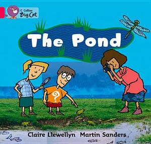 The Pond Workbook by Claire Llewellyn